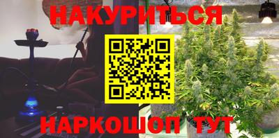МДПВ Кингисепп