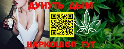 МДПВ Кингисепп