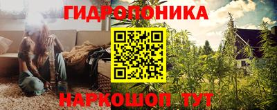 МДПВ Кингисепп