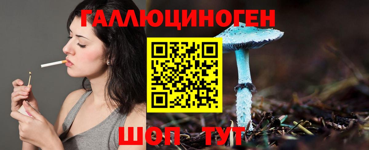 Псилоцибиновые грибы GOLDEN TEACHER Североуральск
