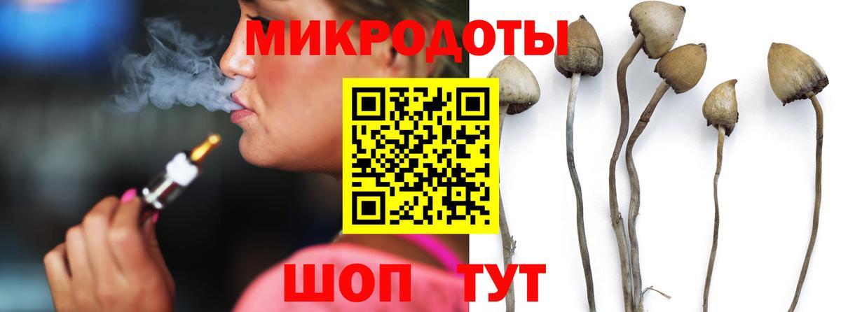 где купить наркотик  Псилоцибиновые грибы MAGIC MUSHROOMS  Вход с VPN  Североуральск 