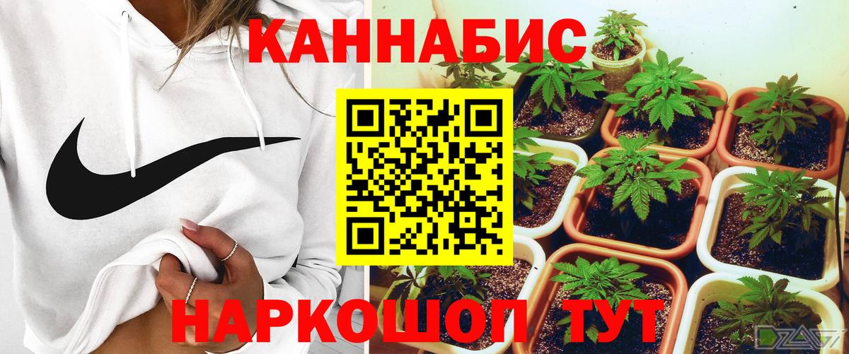 Шишки марихуана White Widow Североуральск